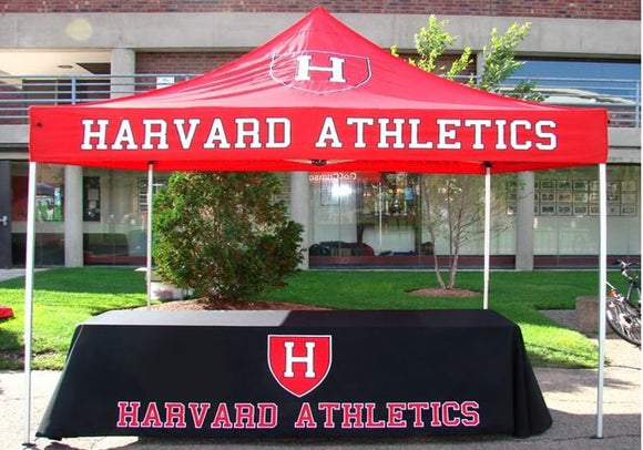 Get factory-direct pricing on fully customized promotional 10x10 pop-up canopy tents. The tent top is made of 220 G commercial-grade polyester, which is flame-retardant, water-proof, and UV-protected. The tent frame is a 40-mm hex tube with a 1.2-mm thickness.